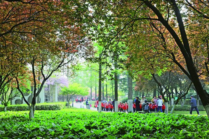 ImageFetcher (9).jpg